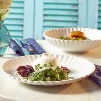 InciseScallopedCoupePlate
